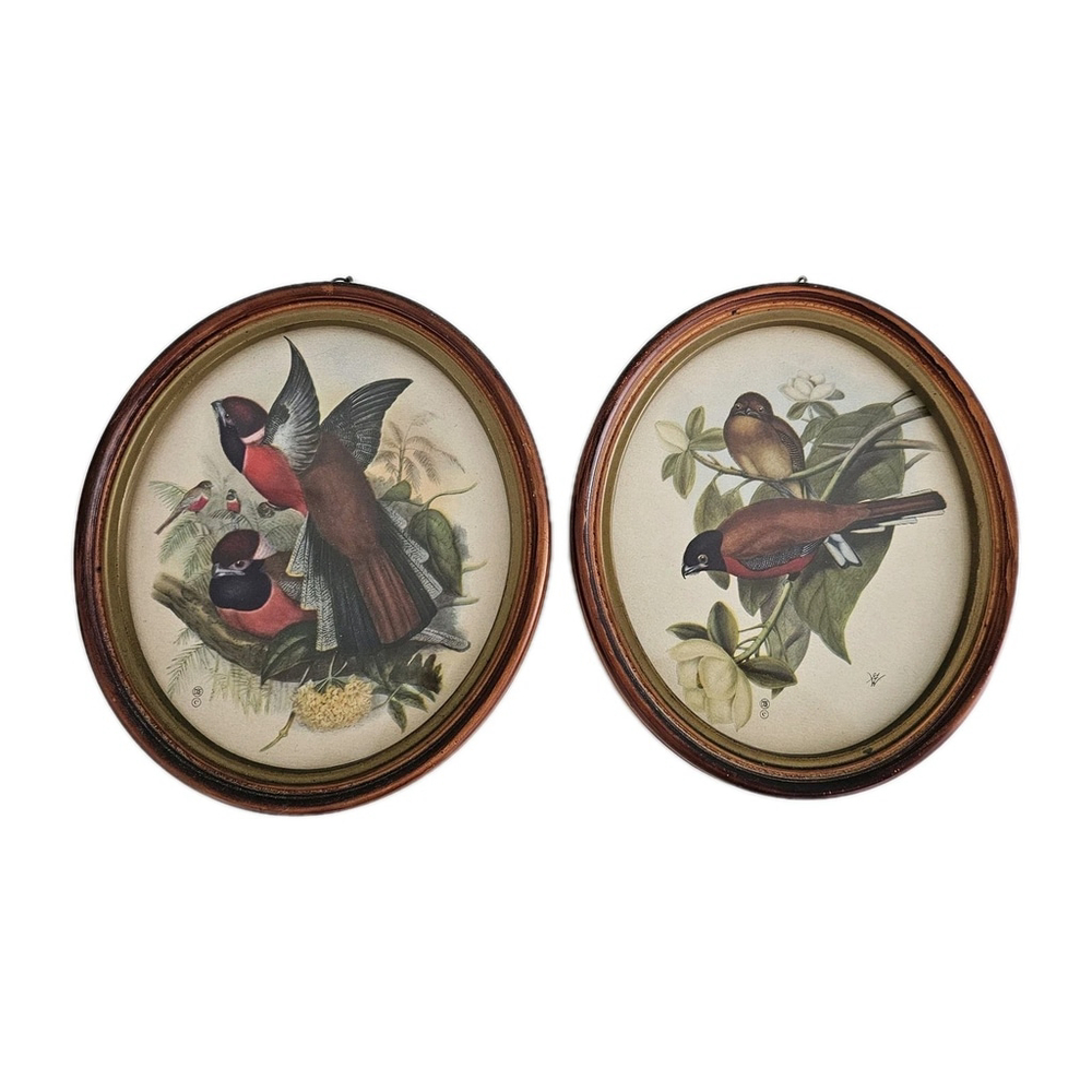 VTG Hope Novelty Co Detroit Oval Bird Prints Wood Frames Set of 2 6.5" x 7.5"
